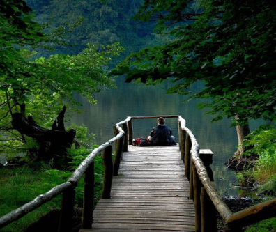 man looking into valley